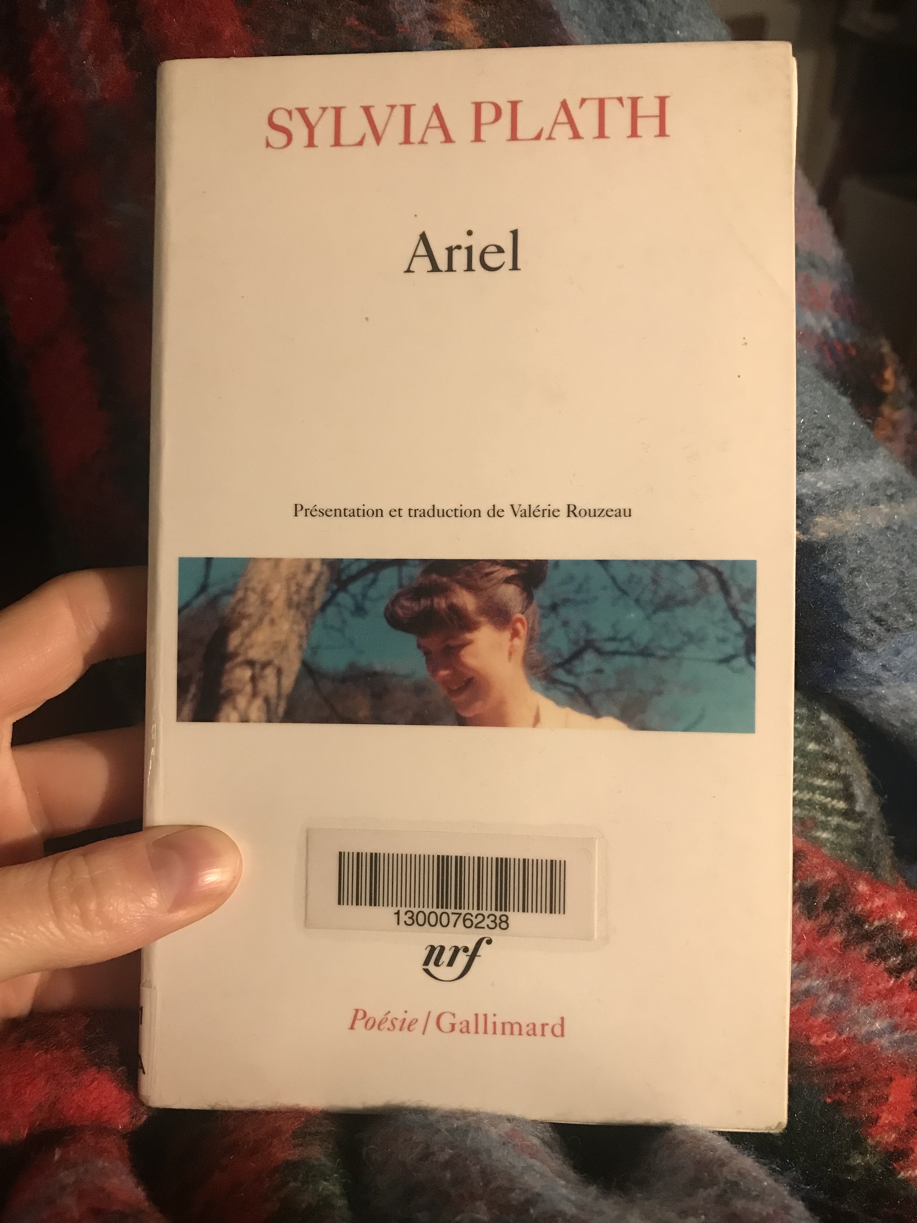 ariel